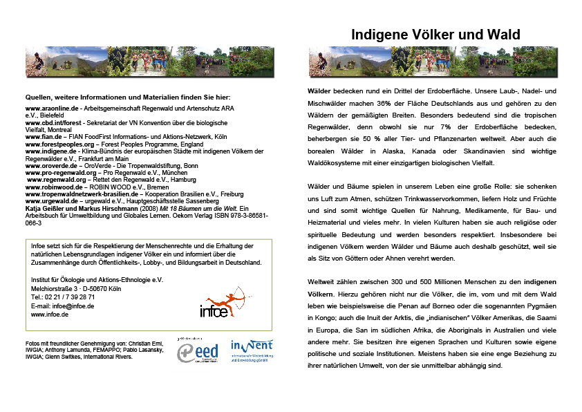 Factsheet Indigene Völker und Wald